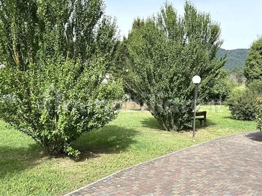 Immagine 2 di Appartamento in vendita  a Ameglia