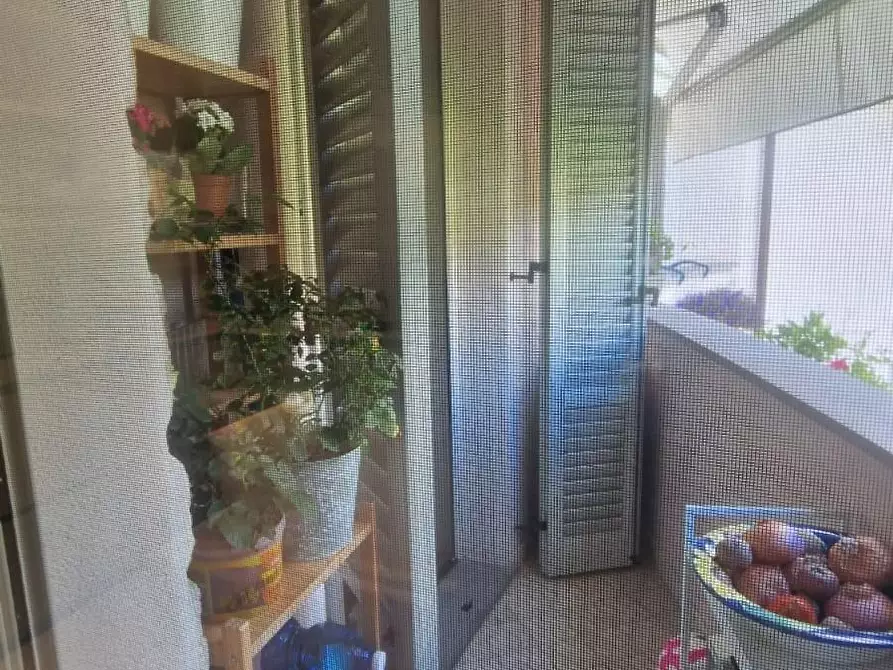 Immagine 18 di Appartamento in vendita  a Massarosa