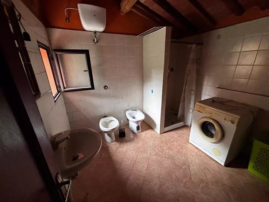 Immagine 13 di Appartamento in vendita  a Peccioli