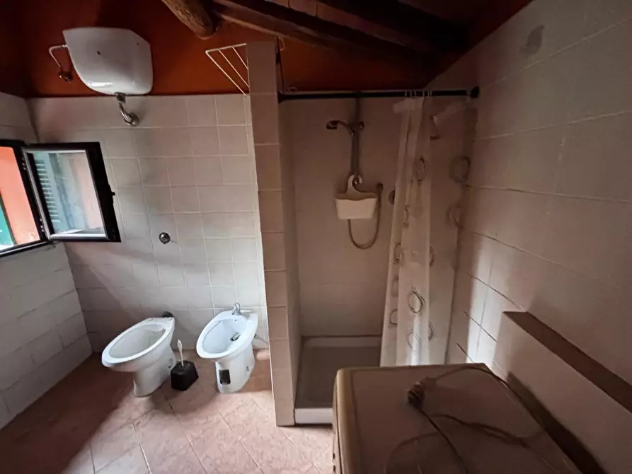 Immagine 14 di Appartamento in vendita  a Peccioli