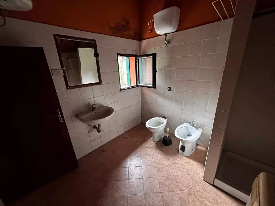 Immagine 15 di Appartamento in vendita  a Peccioli