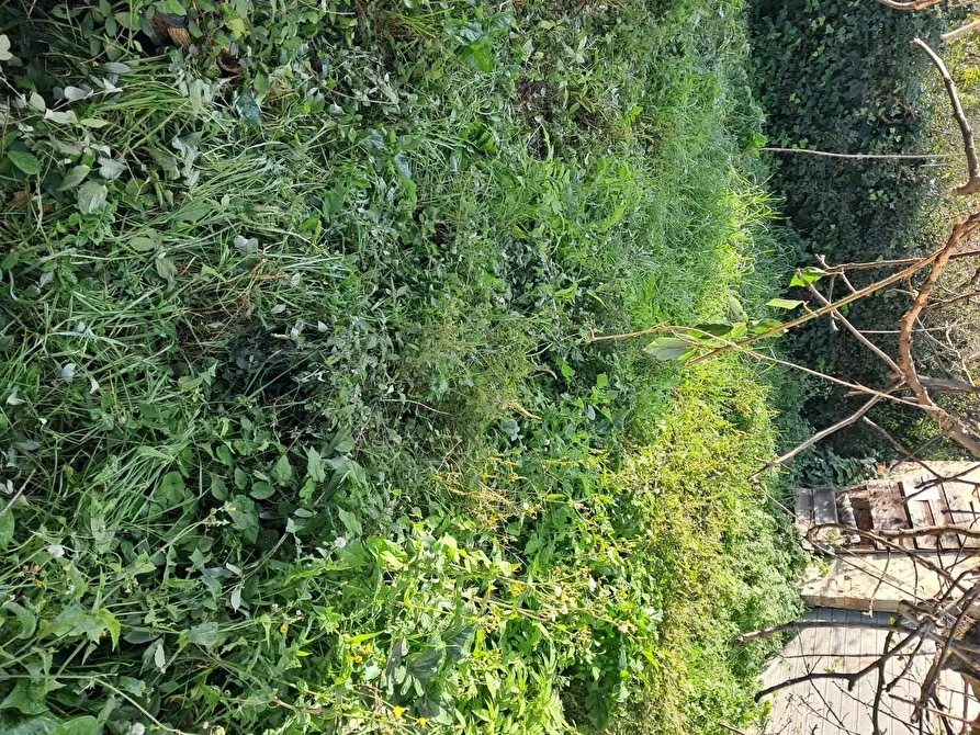 Immagine 3 di Garage in vendita  a Bientina