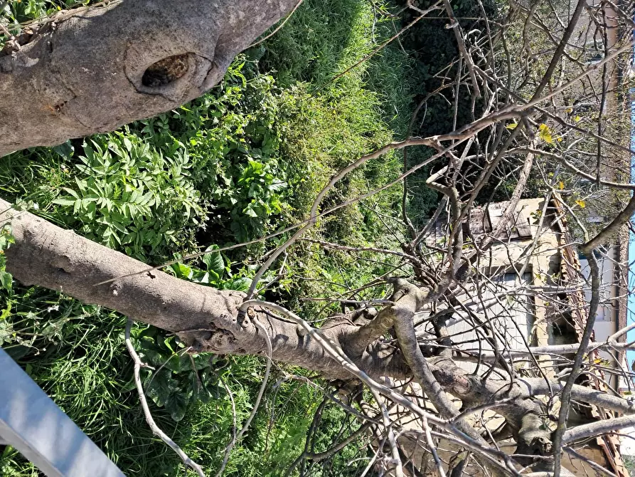 Immagine 2 di Garage in vendita  a Bientina