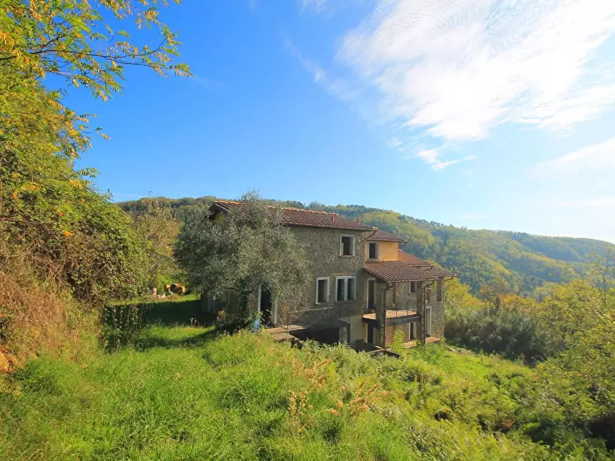 Immagine 29 di Casa colonica in vendita  a Massa E Cozzile