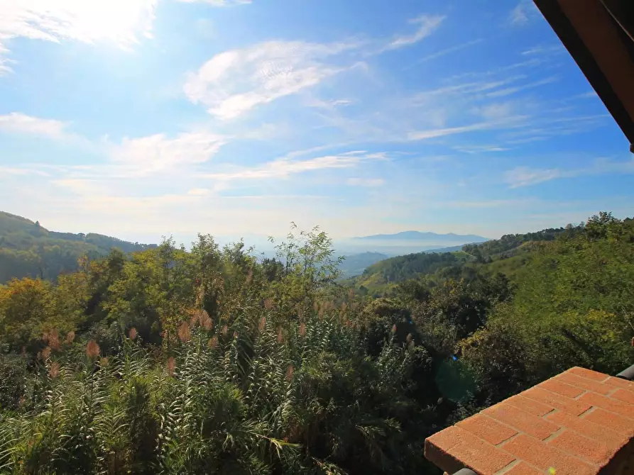Immagine 21 di Casa colonica in vendita  a Massa E Cozzile