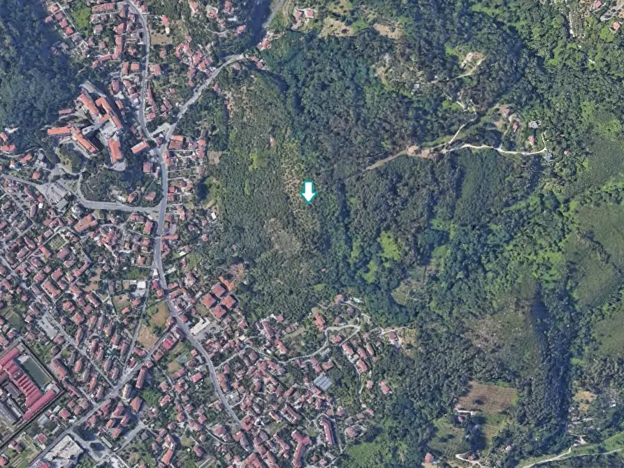 Immagine 3 di Terreno agricolo in vendita  a Massa