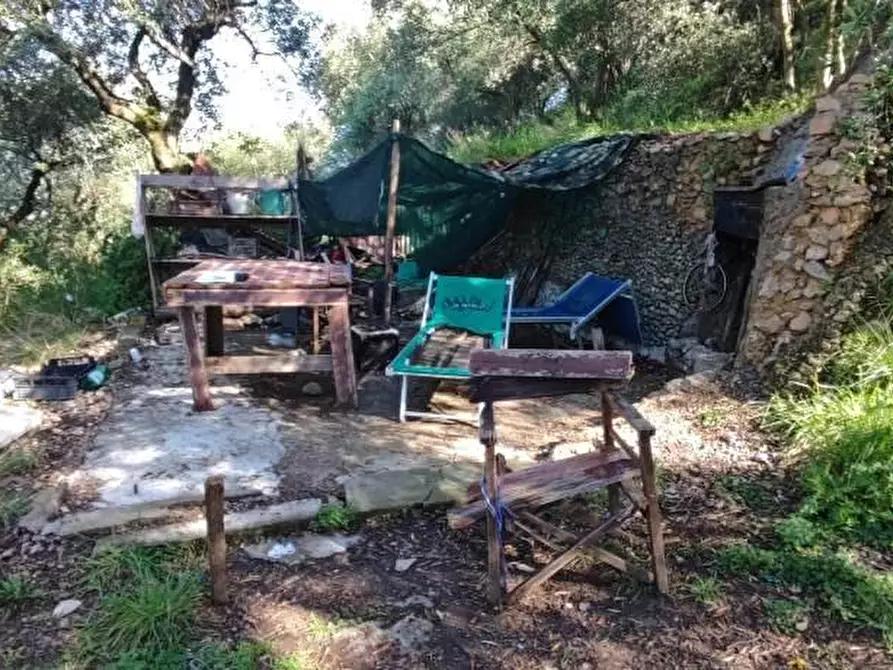 Immagine 1 di Terreno agricolo in vendita  a Massa