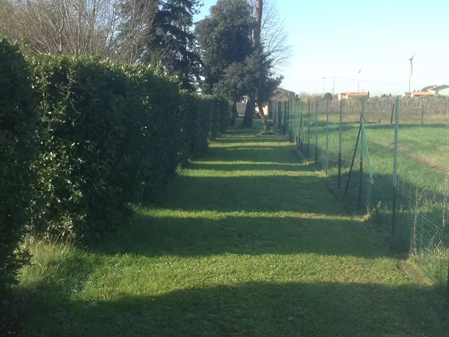Immagine 6 di Casa indipendente in vendita  a Pontedera