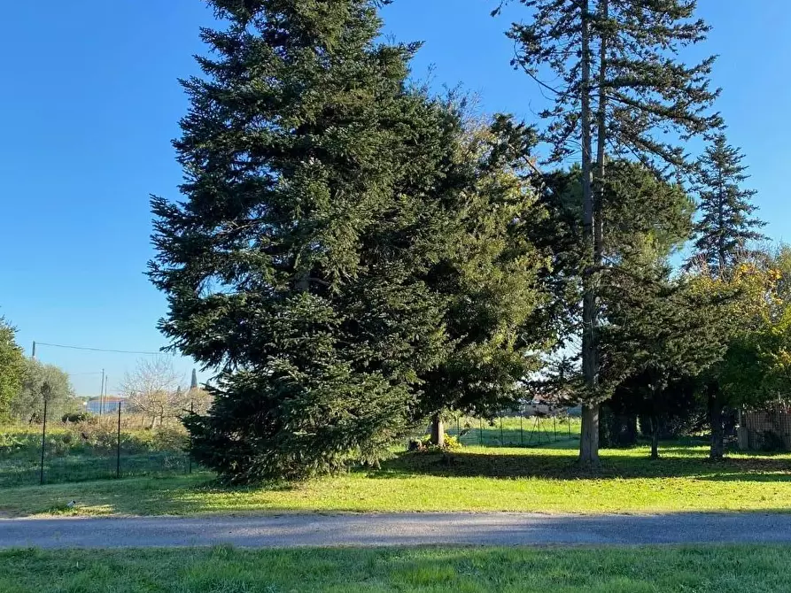 Immagine 13 di Casa indipendente in vendita  a Pontedera