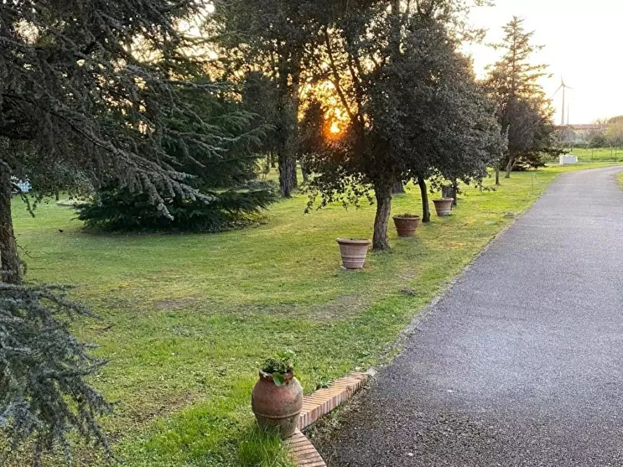 Immagine 7 di Casa indipendente in vendita  a Pontedera