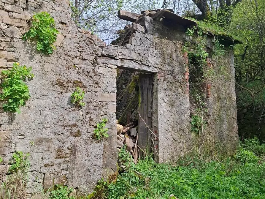Immagine 19 di Rustico / casale in vendita  a Berceto