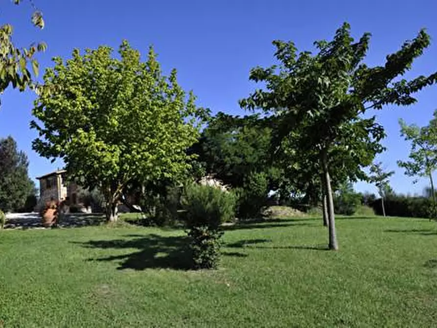 Immagine 3 di Terreno agricolo in vendita  a Sovicille