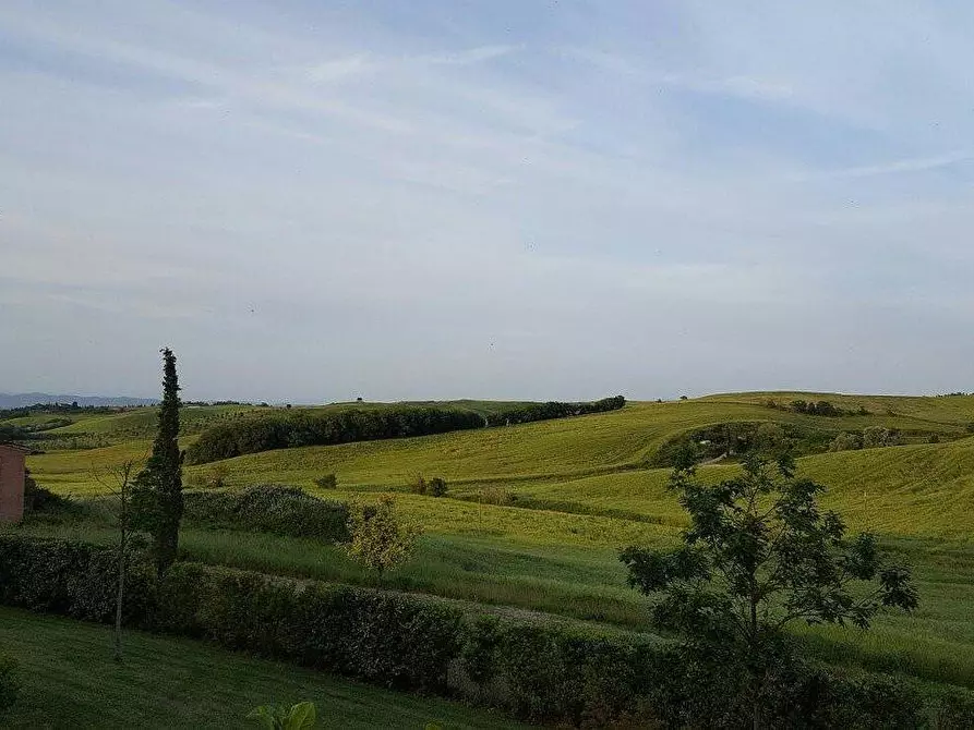 Immagine 1 di Terreno agricolo in vendita  a Sovicille