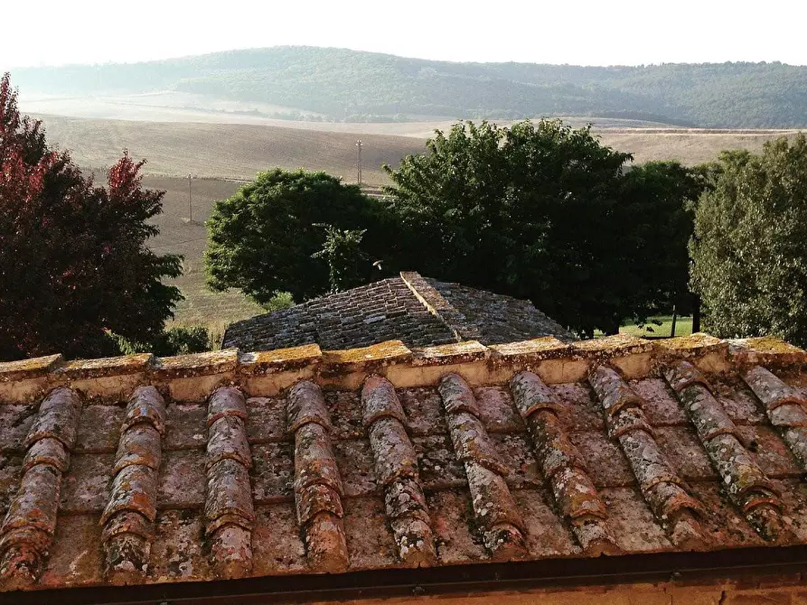 Immagine 7 di Terreno agricolo in vendita  a Sovicille