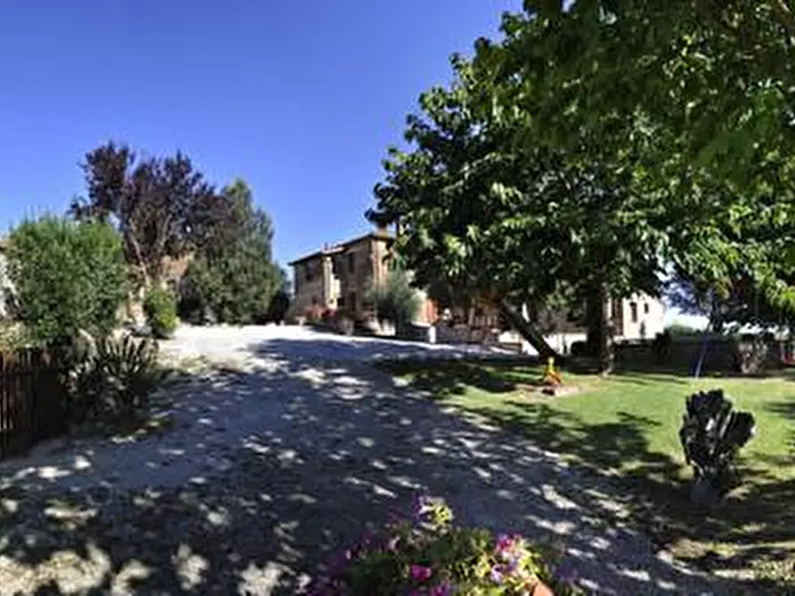 Immagine 5 di Terreno agricolo in vendita  a Sovicille