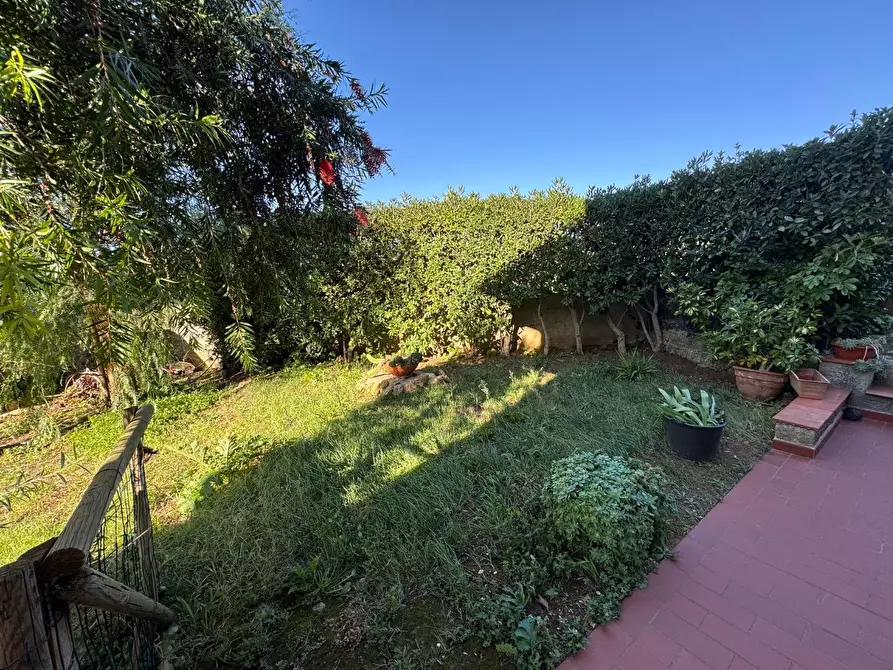 Immagine 25 di Appartamento in vendita  a Rosignano Marittimo