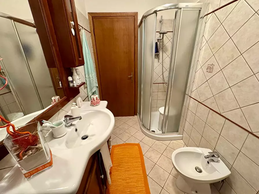 Immagine 22 di Appartamento in vendita  a Rosignano Marittimo