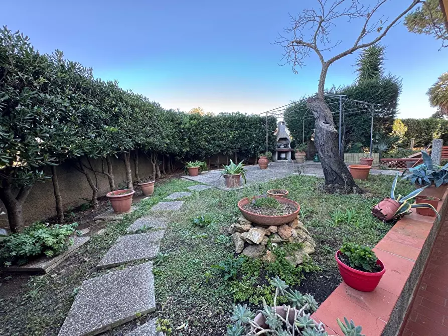 Immagine 26 di Appartamento in vendita  a Rosignano Marittimo