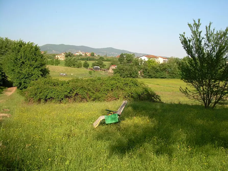 Immagine 7 di Terreno agricolo in vendita  a Cerreto Guidi