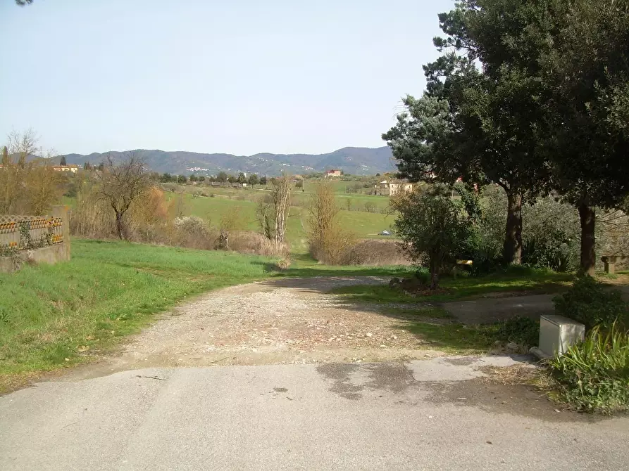 Immagine 5 di Terreno agricolo in vendita  a Cerreto Guidi
