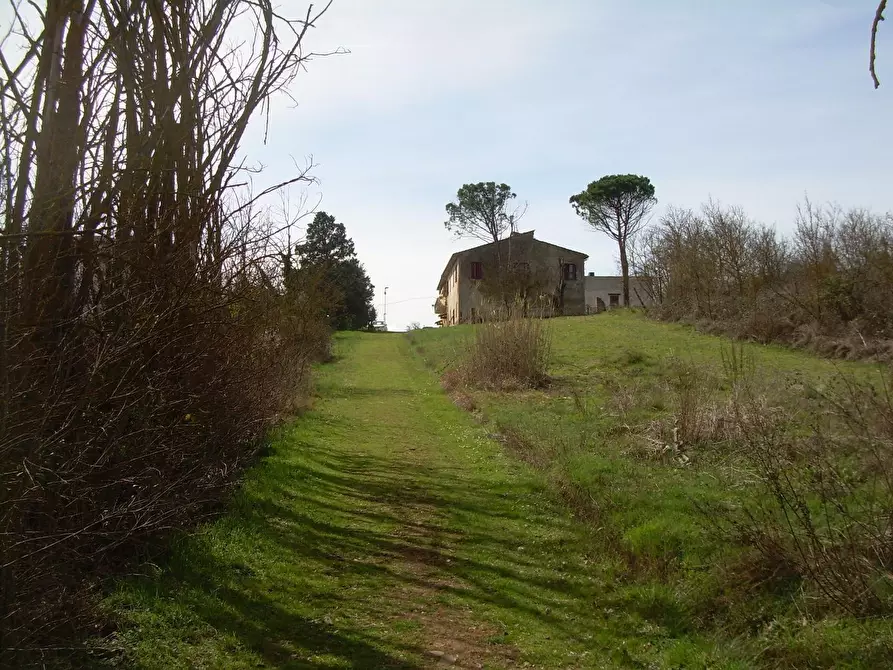 Immagine 3 di Terreno agricolo in vendita  a Cerreto Guidi