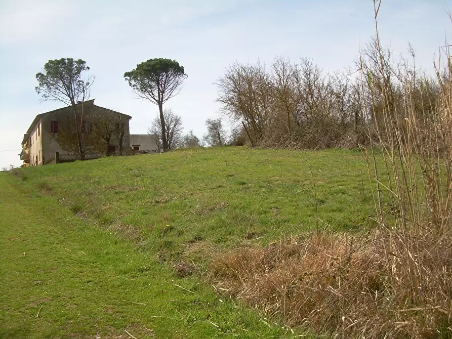 Immagine 4 di Terreno agricolo in vendita  a Cerreto Guidi