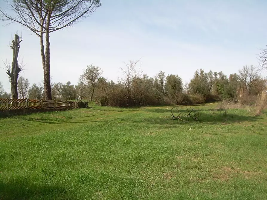 Immagine 1 di Terreno agricolo in vendita  a Cerreto Guidi