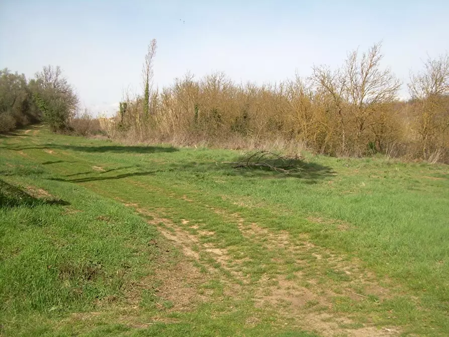 Immagine 2 di Terreno agricolo in vendita  a Cerreto Guidi