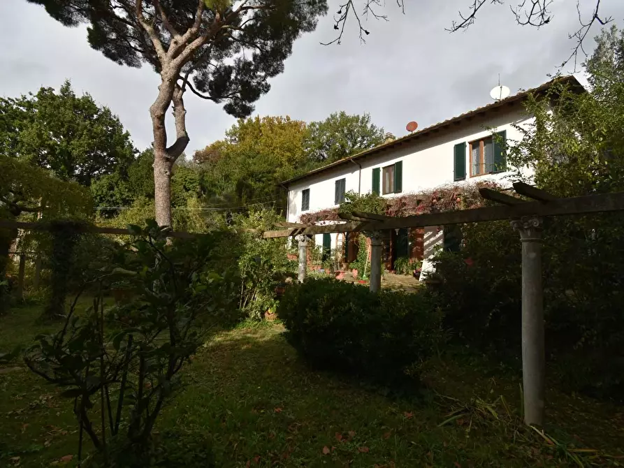 Immagine 73 di Rustico / casale in vendita  a San Giuliano Terme