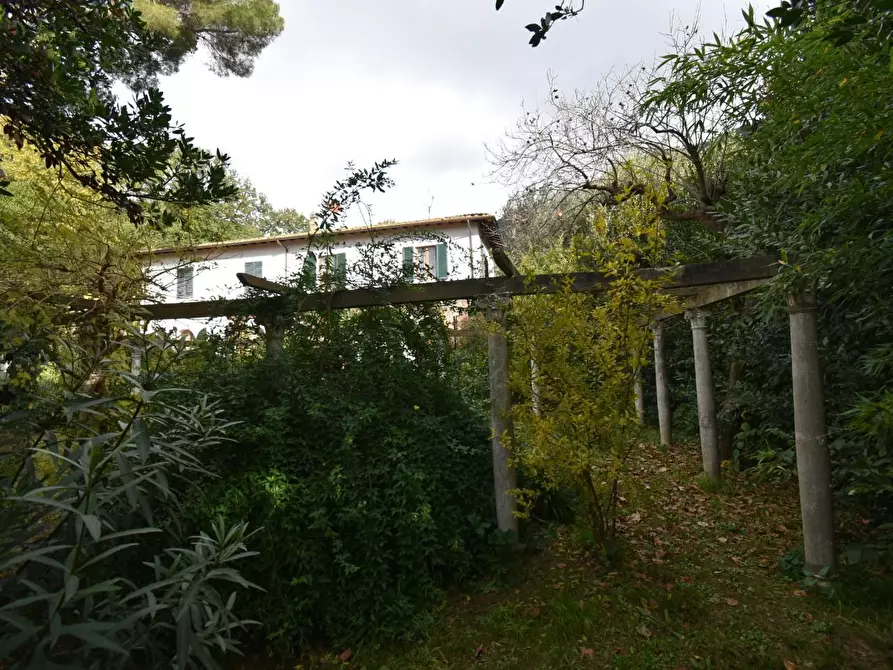 Immagine 75 di Rustico / casale in vendita  a San Giuliano Terme