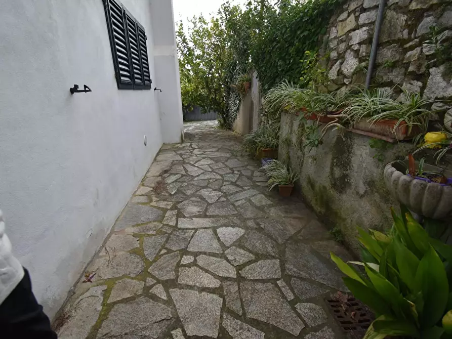 Immagine 93 di Rustico / casale in vendita  a San Giuliano Terme