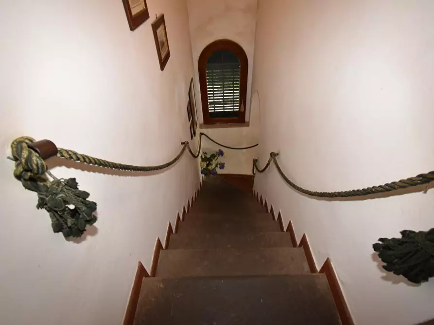 Immagine 25 di Rustico / casale in vendita  a San Giuliano Terme