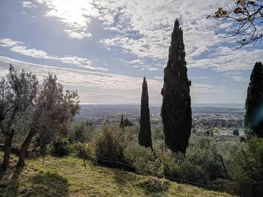 Immagine 25 di Villa in vendita  a Rosignano Marittimo
