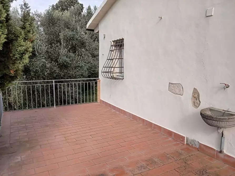 Immagine 19 di Villa in vendita  a Rosignano Marittimo