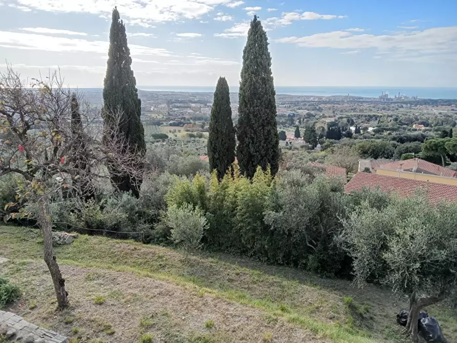 Immagine 28 di Villa in vendita  a Rosignano Marittimo