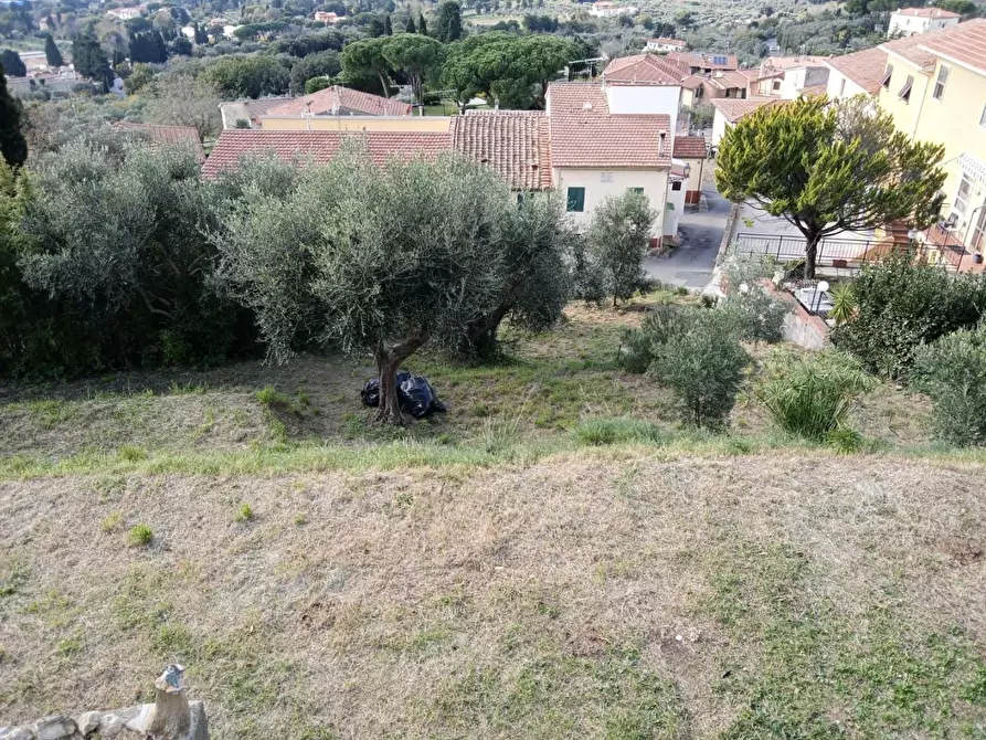 Immagine 26 di Villa in vendita  a Rosignano Marittimo
