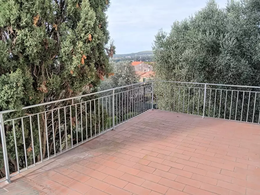 Immagine 18 di Villa in vendita  a Rosignano Marittimo