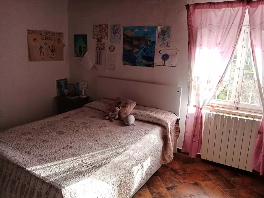 Immagine 13 di Villa in vendita  a Rosignano Marittimo