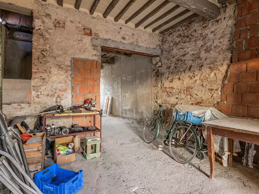 Immagine 4 di Terratetto in vendita  a Calcinaia
