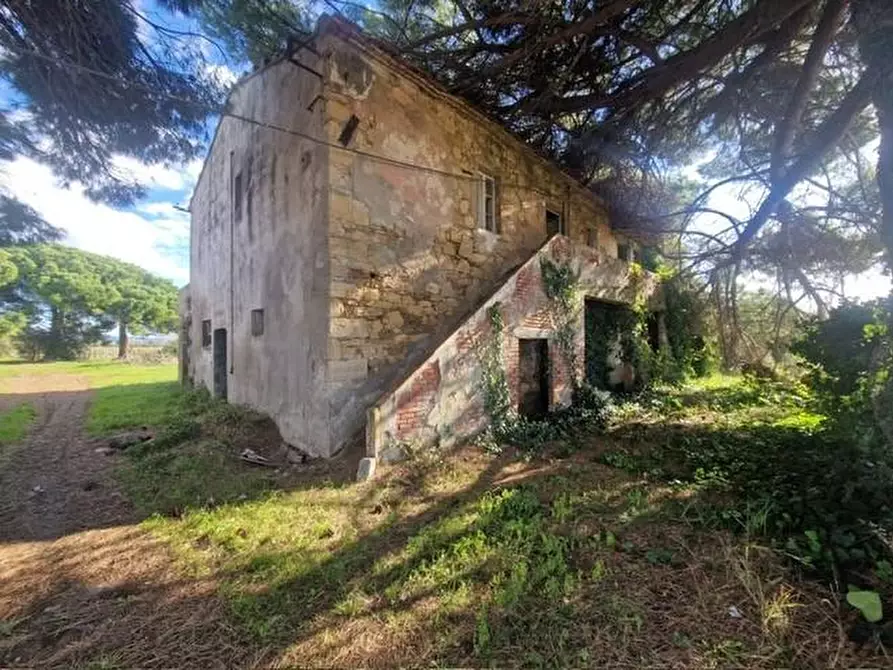 Immagine 1 di Casa colonica in vendita  a Rosignano Marittimo