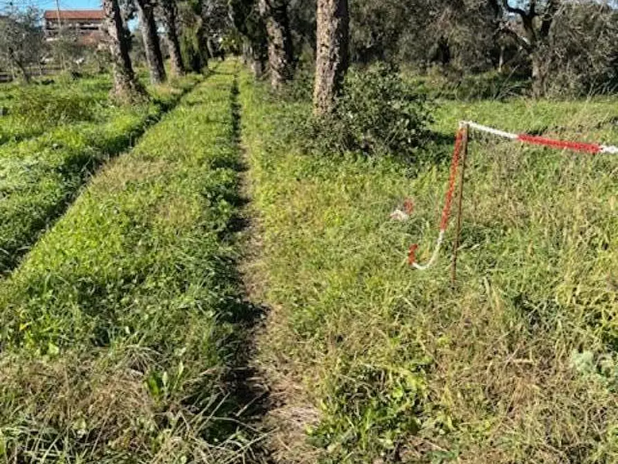 Immagine 1 di Casa colonica in vendita  a Sarzana