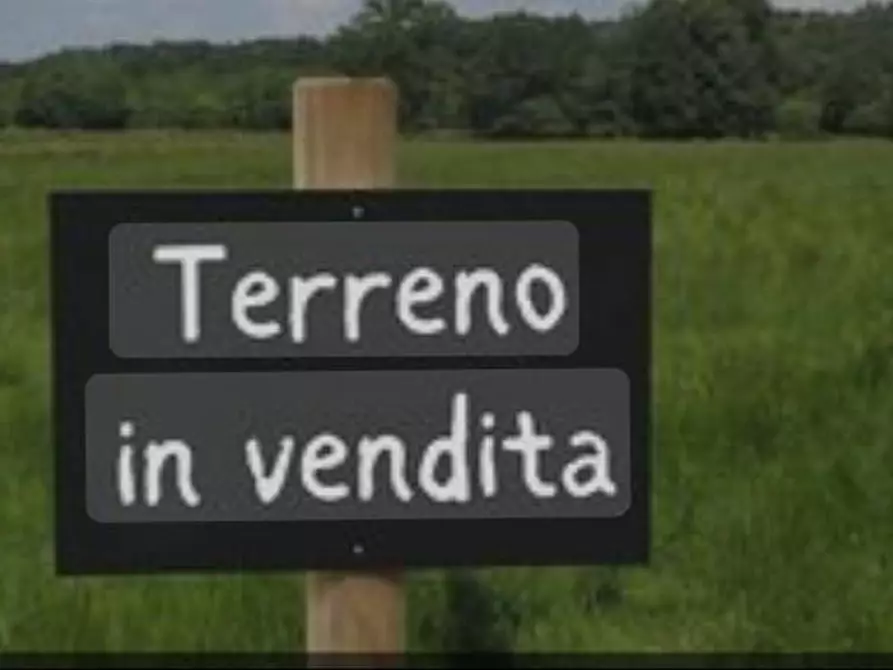 Immagine 1 di Terreno agricolo in vendita  a Massa