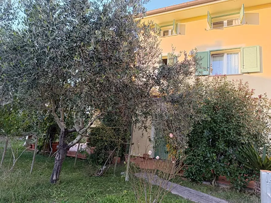 Immagine 3 di Casa bifamiliare in vendita  a Fauglia