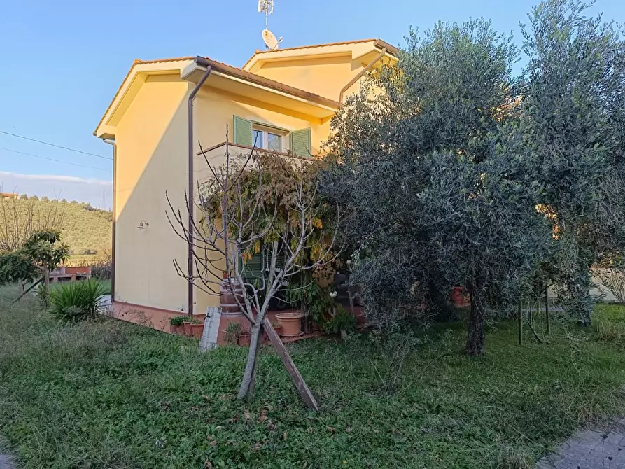 Immagine 2 di Casa bifamiliare in vendita  a Fauglia