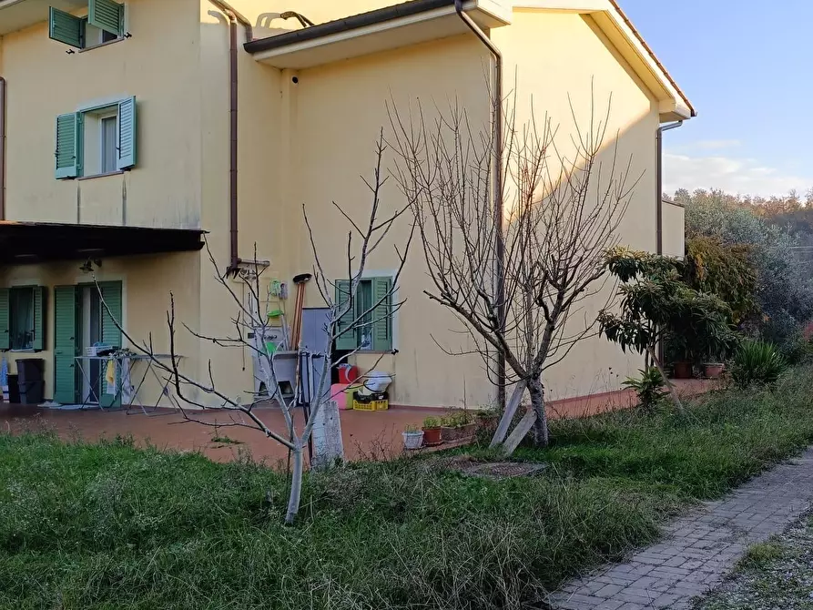 Immagine 1 di Casa bifamiliare in vendita  a Fauglia