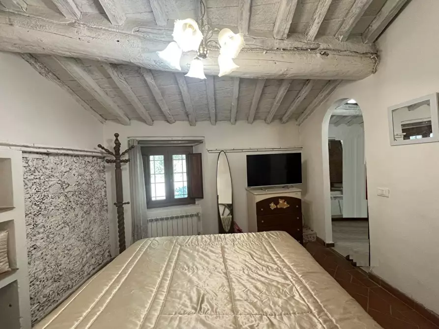 Immagine 24 di Terratetto in vendita  a Camaiore