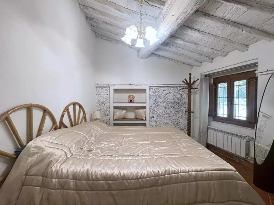 Immagine 23 di Terratetto in vendita  a Camaiore