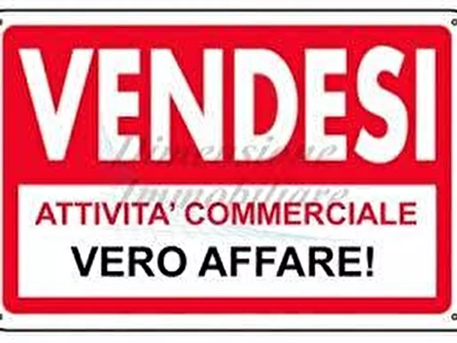 Immagine 1 di Attività commerciale in vendita  a Massa