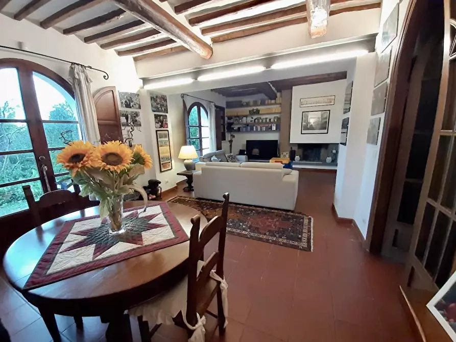 Immagine 19 di Villa in vendita  a San Giuliano Terme