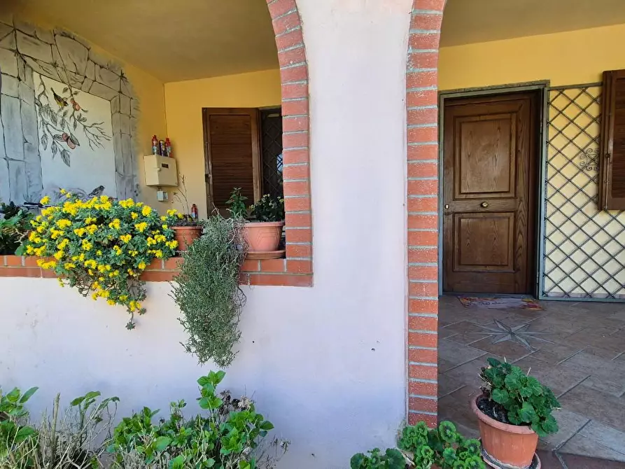 Immagine 7 di Casa bifamiliare in vendita  a Massarosa